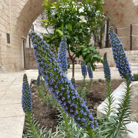 Lamanna House Polignano a Mare Eksteriør billede