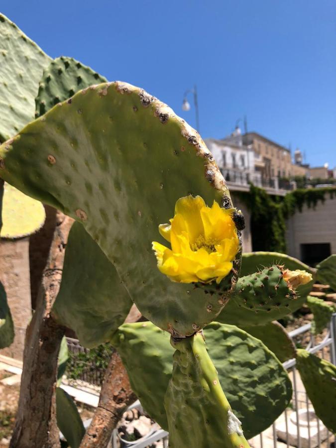 Lamanna House Polignano a Mare Eksteriør billede