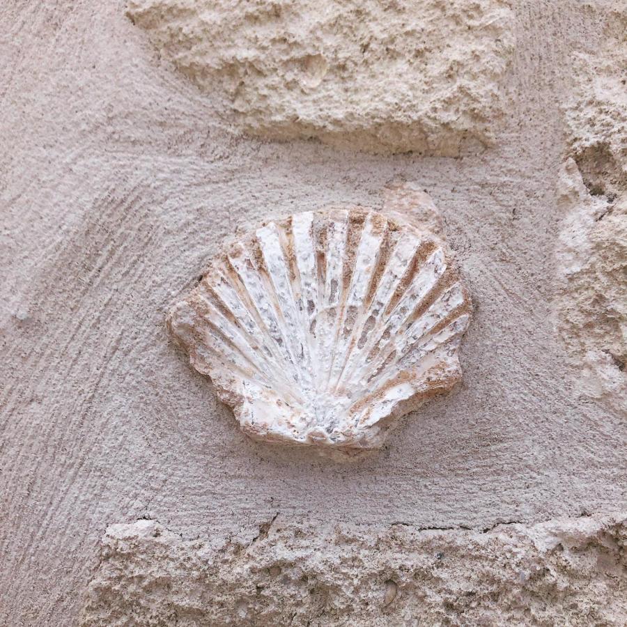 Lamanna House Polignano a Mare Eksteriør billede